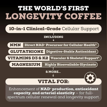 Krebba Longevity Mix — Café Mocha con NMN y Glutatión