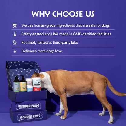 Krebba Turkey Tail — Hongo Cola de Pavo Orgánico para Perros