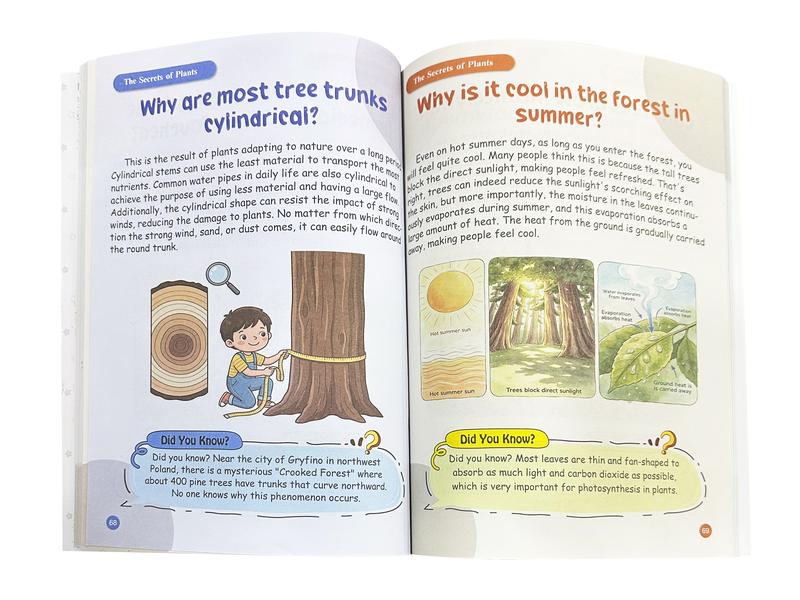 Krebba™ Little Why Explorers