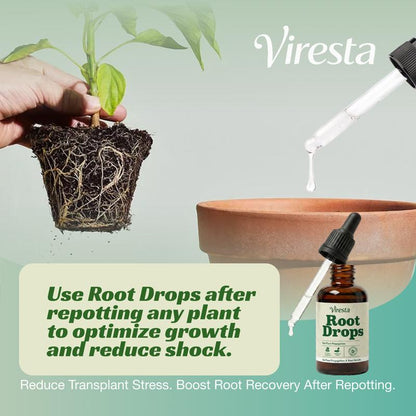 Krebba™ RootBoost Drops