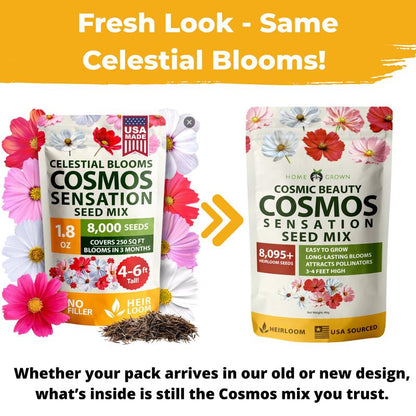 Krebba™ CosmosBloom 8K Seeds