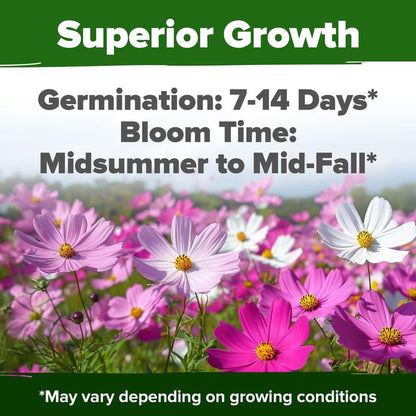 Krebba™ CosmosBloom 8K Seeds