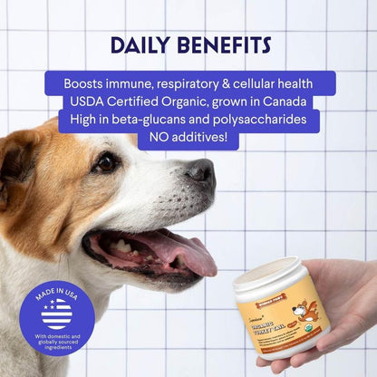 Krebba Turkey Tail — Hongo Cola de Pavo Orgánico para Perros